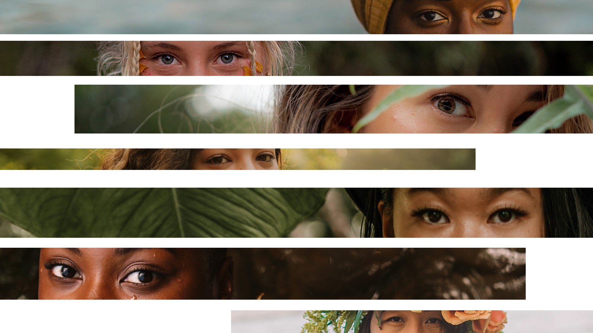 A Reflection of Beauty