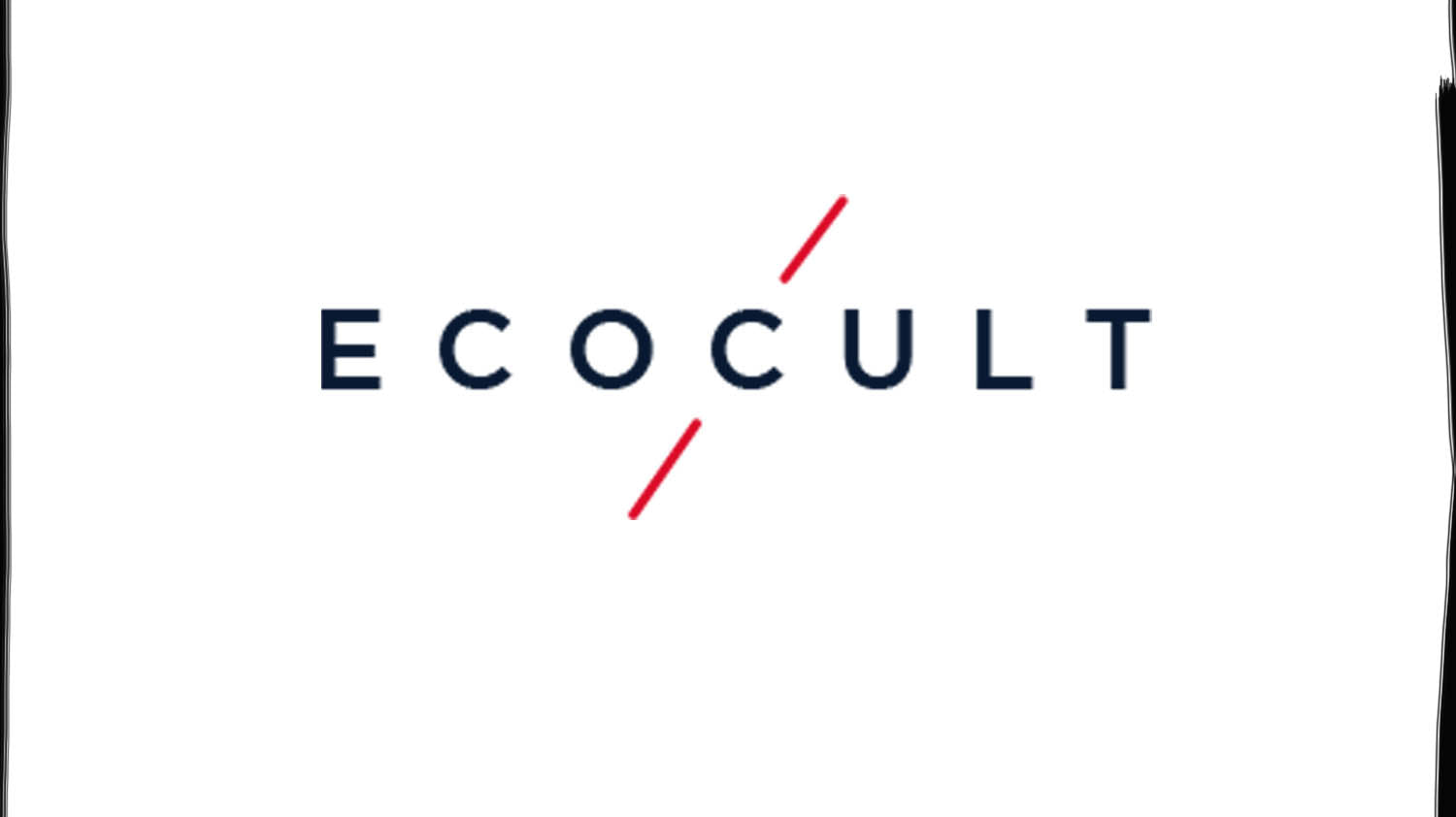 7 Brands She is Loving This Summer