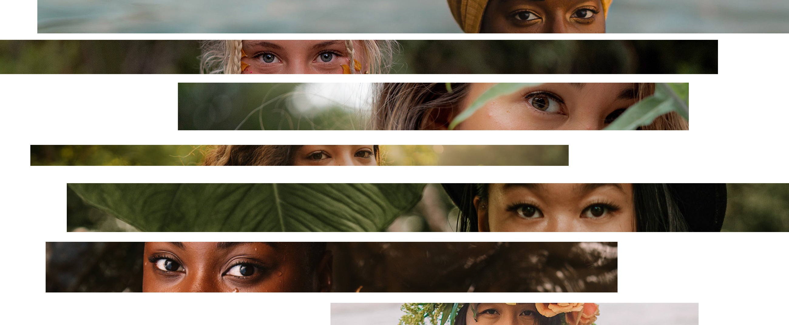 A Reflection of Beauty